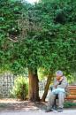 Banc public 2 * 5184 x 3456 * (9.67MB)